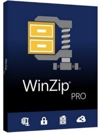 Winzip Pro Png